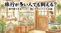 旅行が多い人でも飼える？留守番できるペット・飼いやすいペット10選